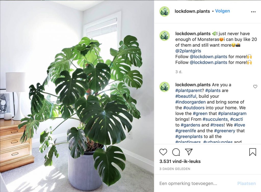 Tap for Tips! 3 Insta accounts om je lockdown dragelijker te maken 2 Schermafbeelding 2020 12 16 om 16.07.29