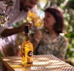 licor43nl 1715500815 3366187255151169676 2125222582 e1724155582465